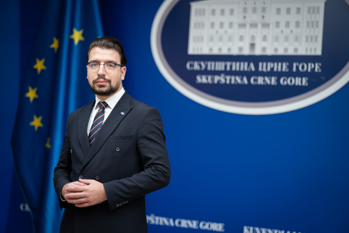mirko_milicic2