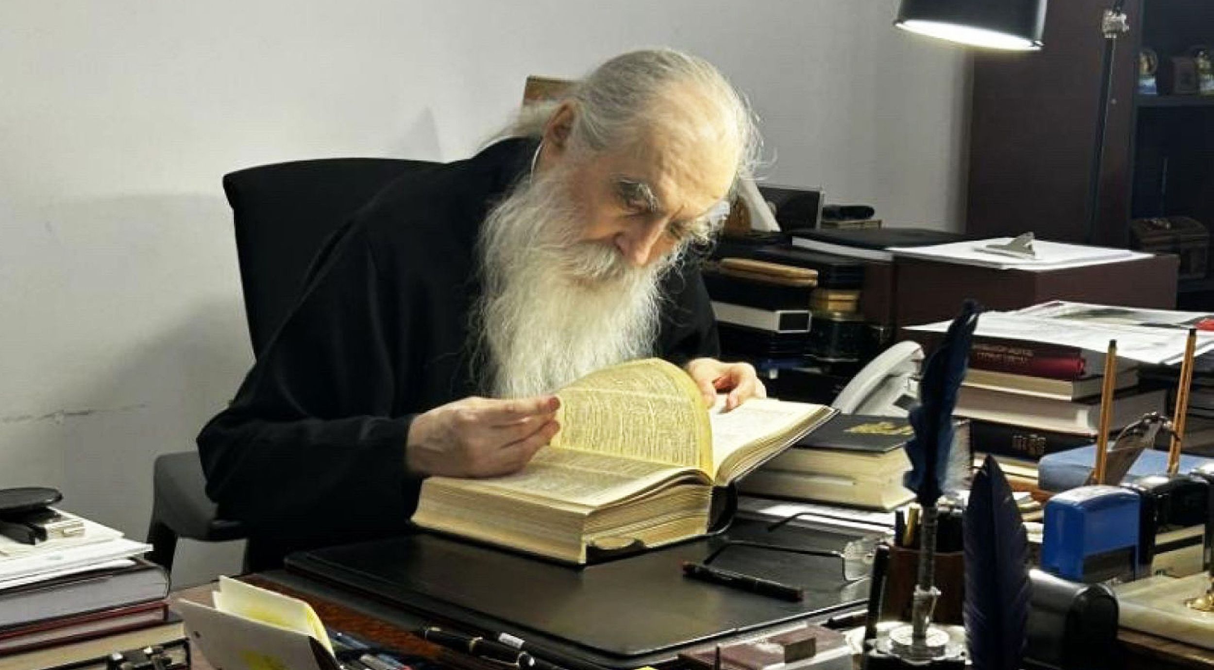 vladika-irinej-backi